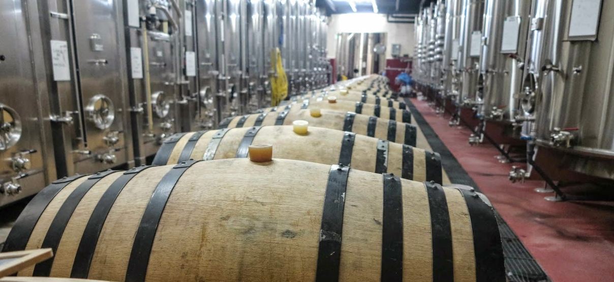 Sorties de chai des vins de la Vallée du Rhône en mai 2022