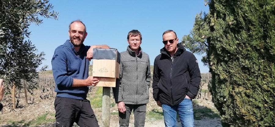 [Cairanne] 300 nichoirs à mésanges et gîtes à chauve-souris installés dans les vignes