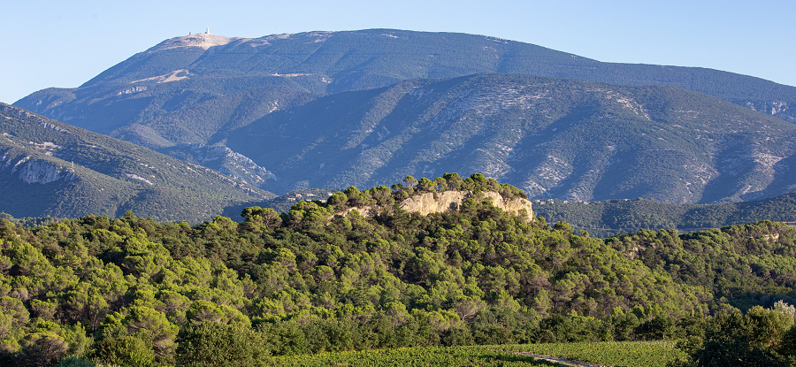 [Vallée du Rhône] L'œnotourisme au sommet avec l'AOC Ventoux