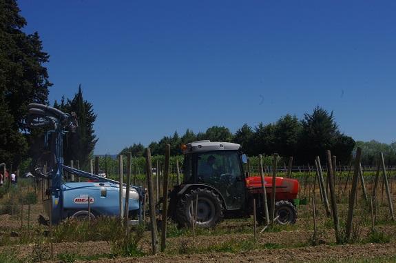 Produits phytos : Faire les bons choix