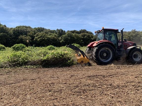 Arrachage administratif d'une vigne abandonnée