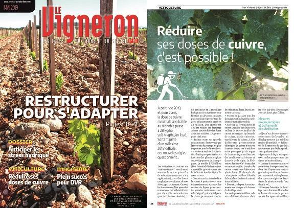 Le Vigneron de mai : Restructurer pour s’adapter