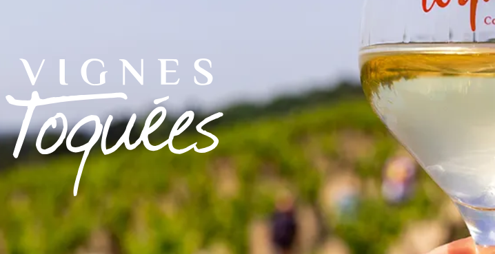 VIGNES TOQUEES