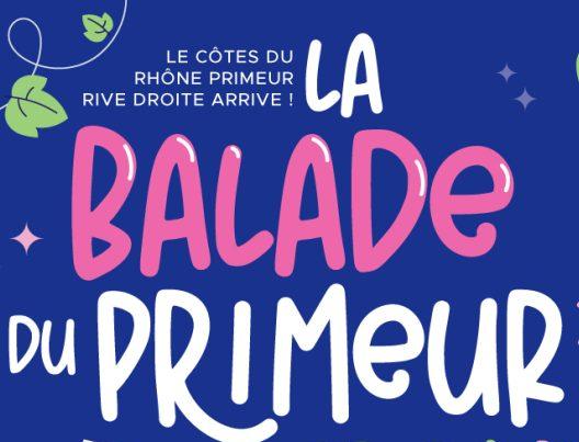 BALADE DU PRIMEUR COTES DU RHONE RIVE DROITE