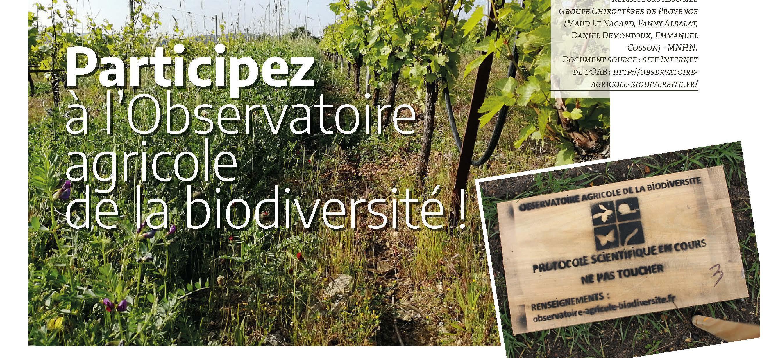 Participez à l'Observatoire national de la biodiversité