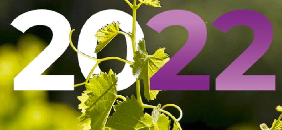 Rapport d'activité 2022 du Syndicat des Vignerons des Côtes du Rhône