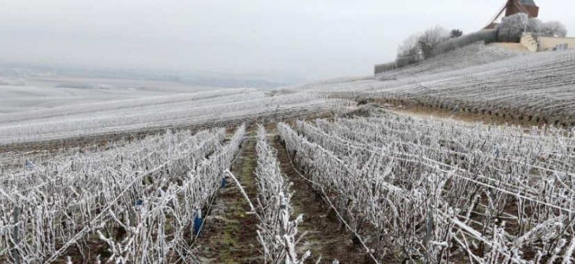 Aide aux investissements contre les aléas climatiques