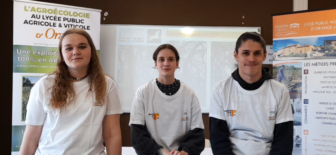 [CDR] Orange, En avant pour les chauve-souris avec les écoambassadeurs