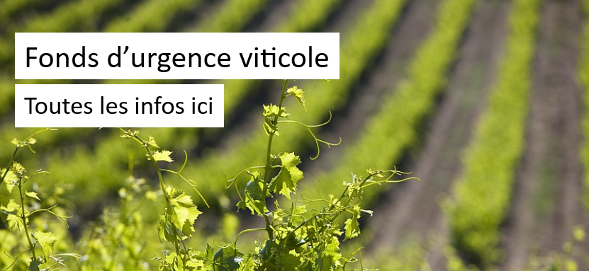 Fonds d’urgence viticole