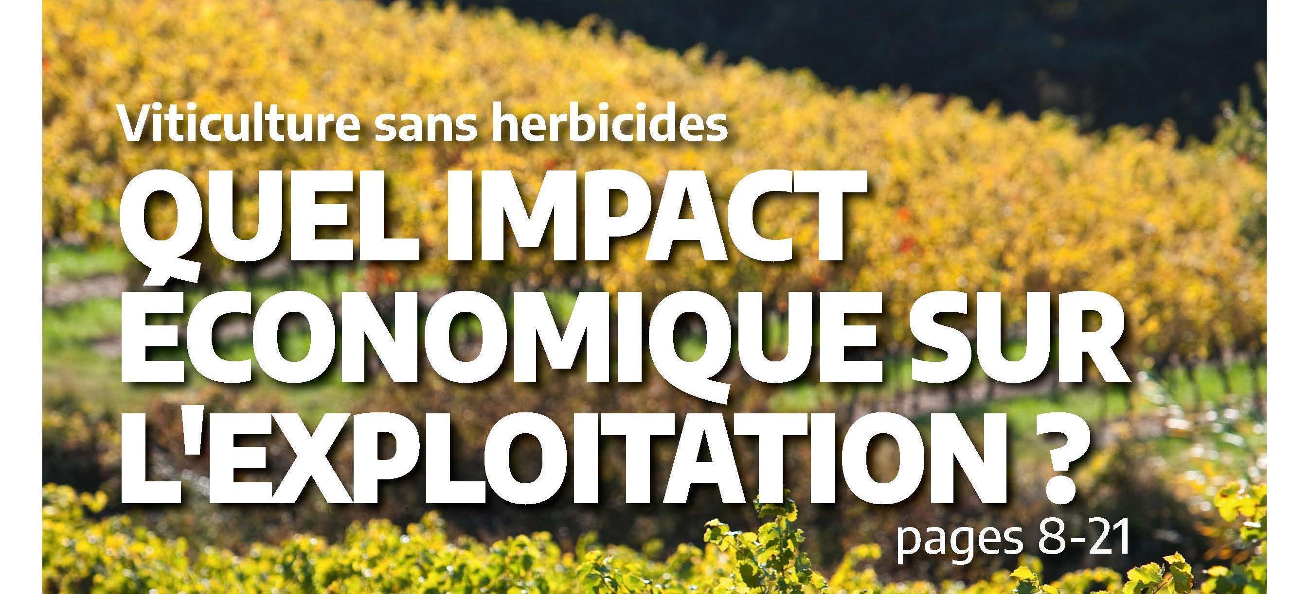 Le Vigneron de janvier 2021 : Viticulture sans herbicides : quel impact économique ?