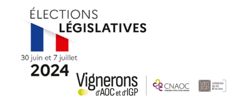 Elections législatives :  « La viticulture : la grande oubliée des élections législatives »