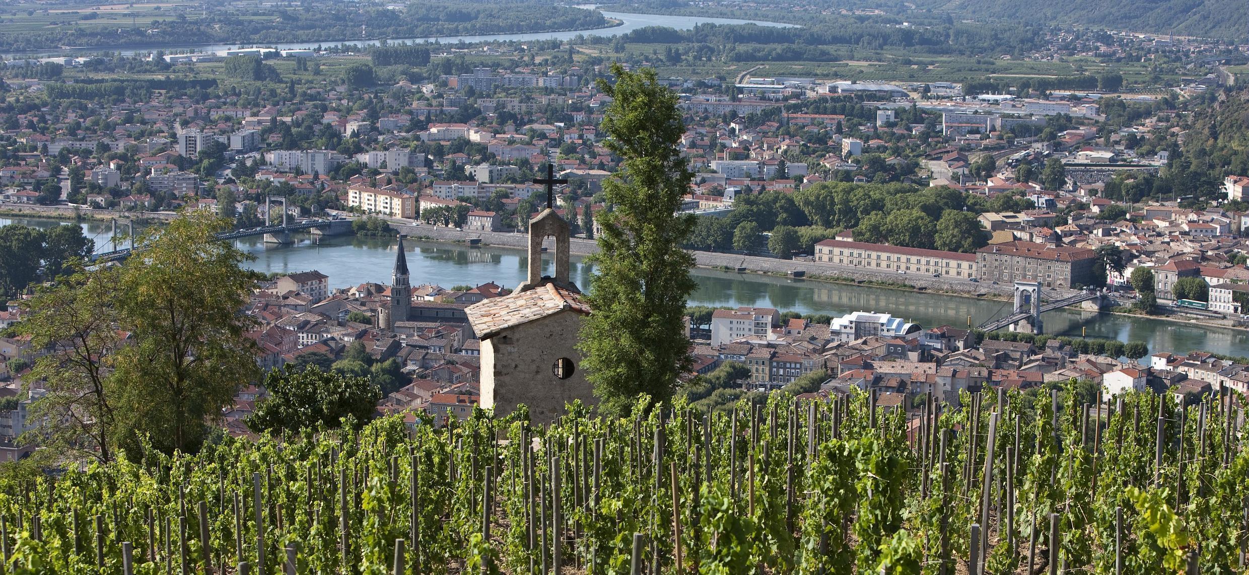 Protection des terroirs : Cahier de gestion des Coteaux de l’Hermitage