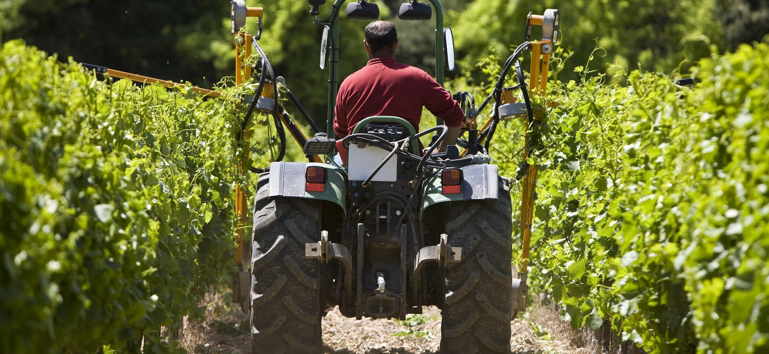 Les exonérations de cotisations patronales confirmées pour le secteur de la viticulture