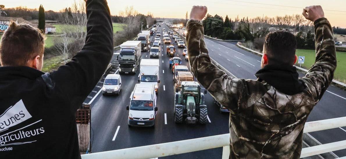 Un fonds d’urgence, une aide à l’arrachage oui, mais encore ?