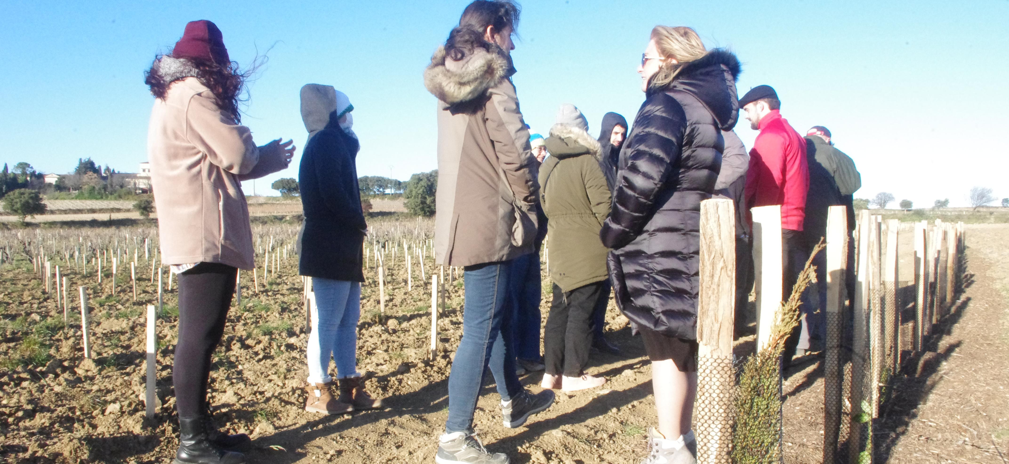 Formations liées à l'environnement