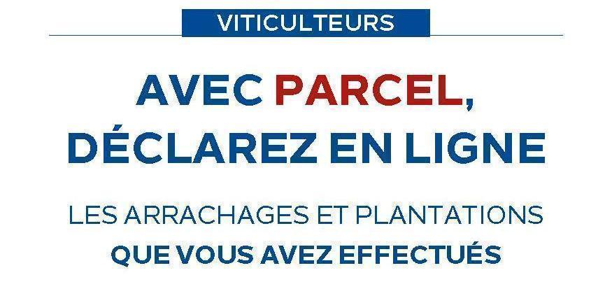 Intégrez une parcelle sur votre CVI via PARCEL