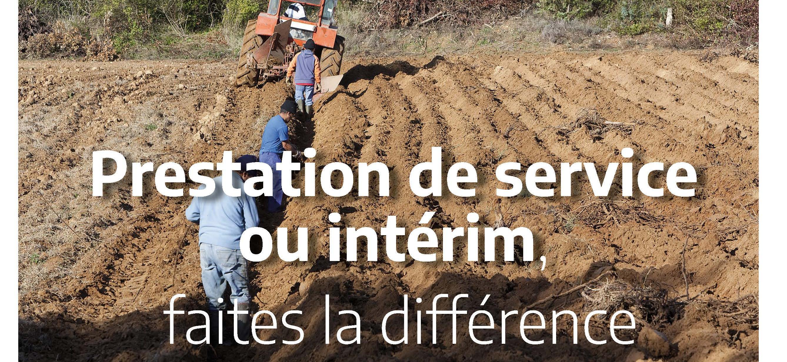 Prestation de service ou intérim, faites la différence