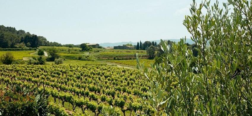 Des zones de transition pour préserver le foncier viticole et  améliorer le vivre-ensemble