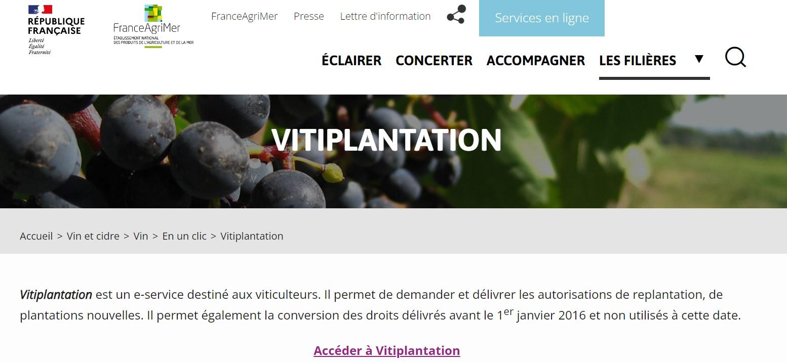 Vitiplantation : les fiches pratiques de FranceAgriMer