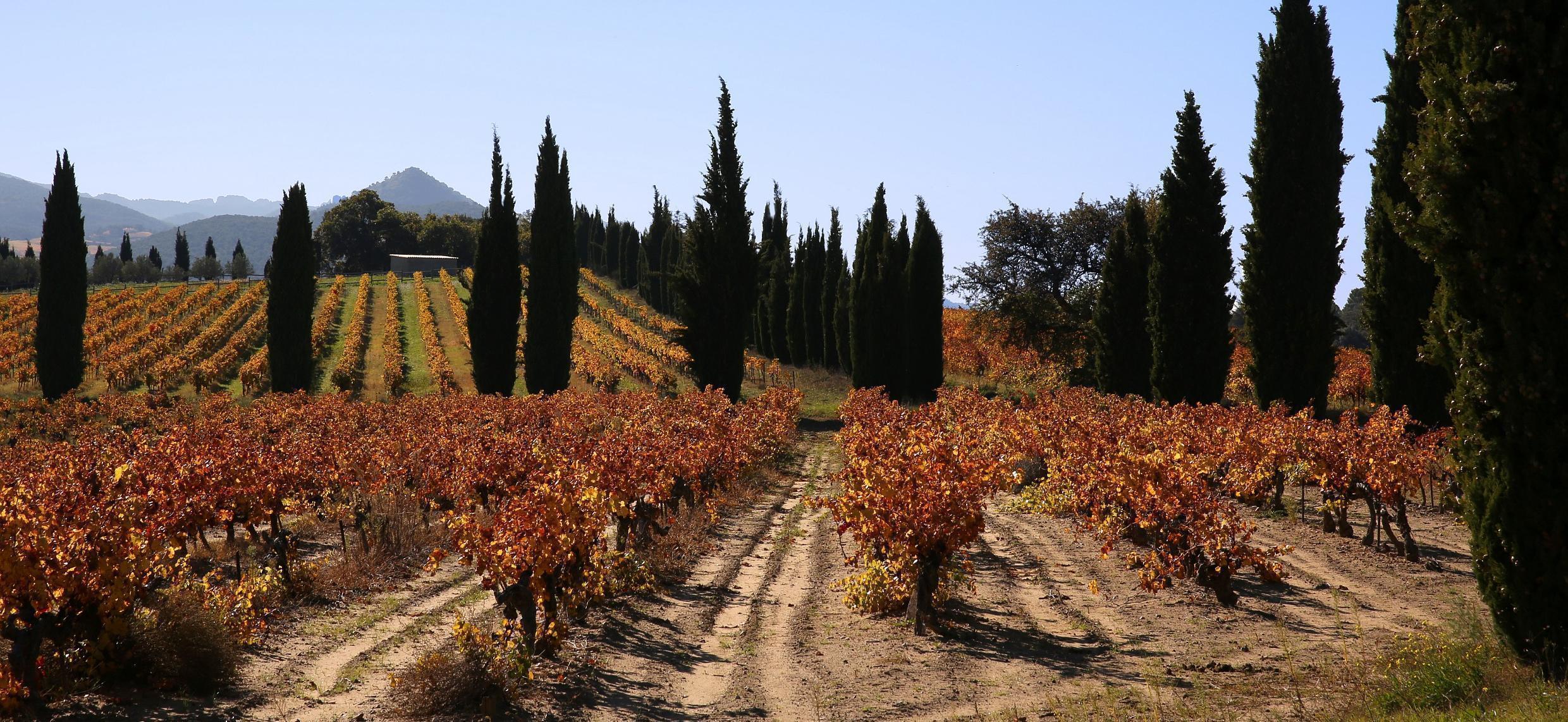 Défendre le terroir des Côtes du Rhône