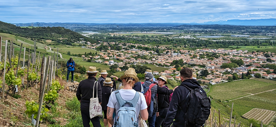 [Saint-Péray] Premières foulées sur  le sentier Vignes et Saveurs