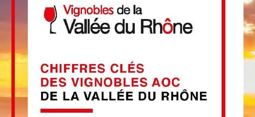 Chiffres clés 2019 pour les vignobles de la Vallée du Rhône