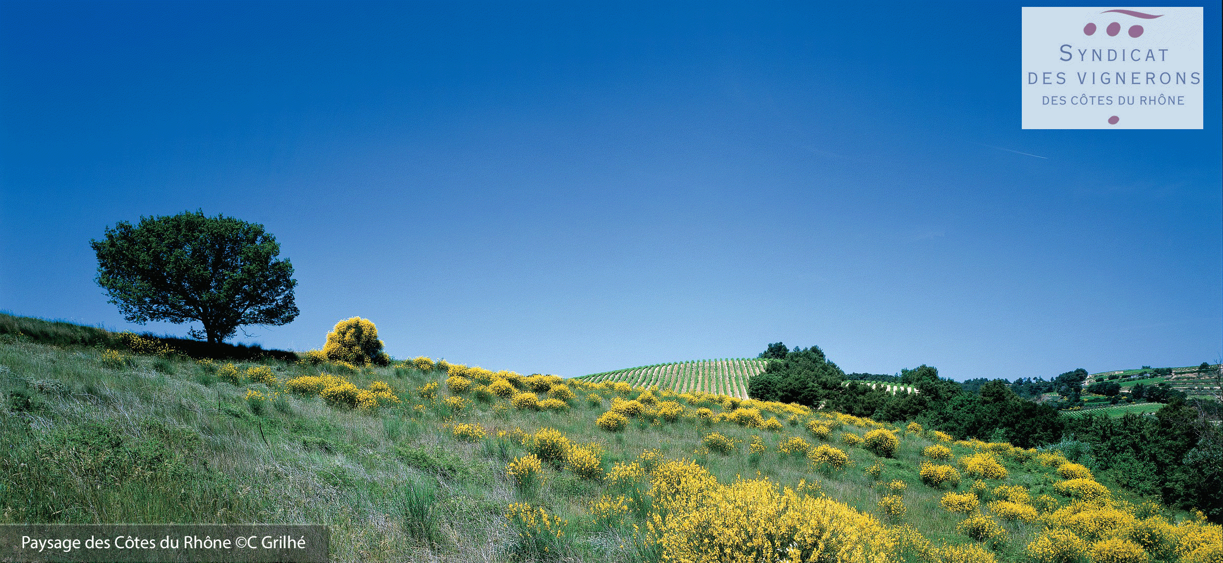 Cahier des charges de l'AOC Côtes du Rhône Villages