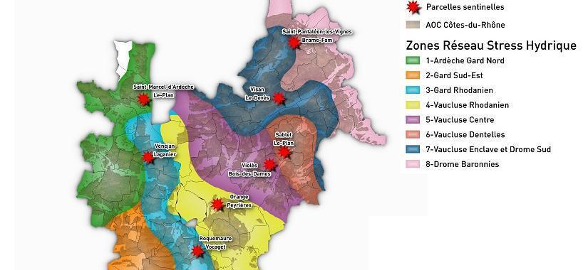 Le journal 2019 du stress hydrique en Côtes du Rhône