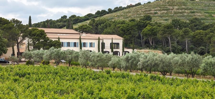[Beaumes de Venise ] Le renouveau du domaine de Coyeux