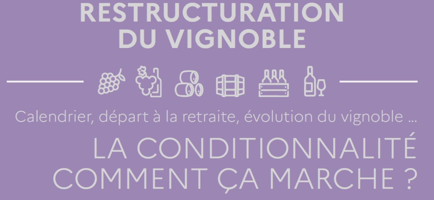 La conditionnalité, comment ça marche ?