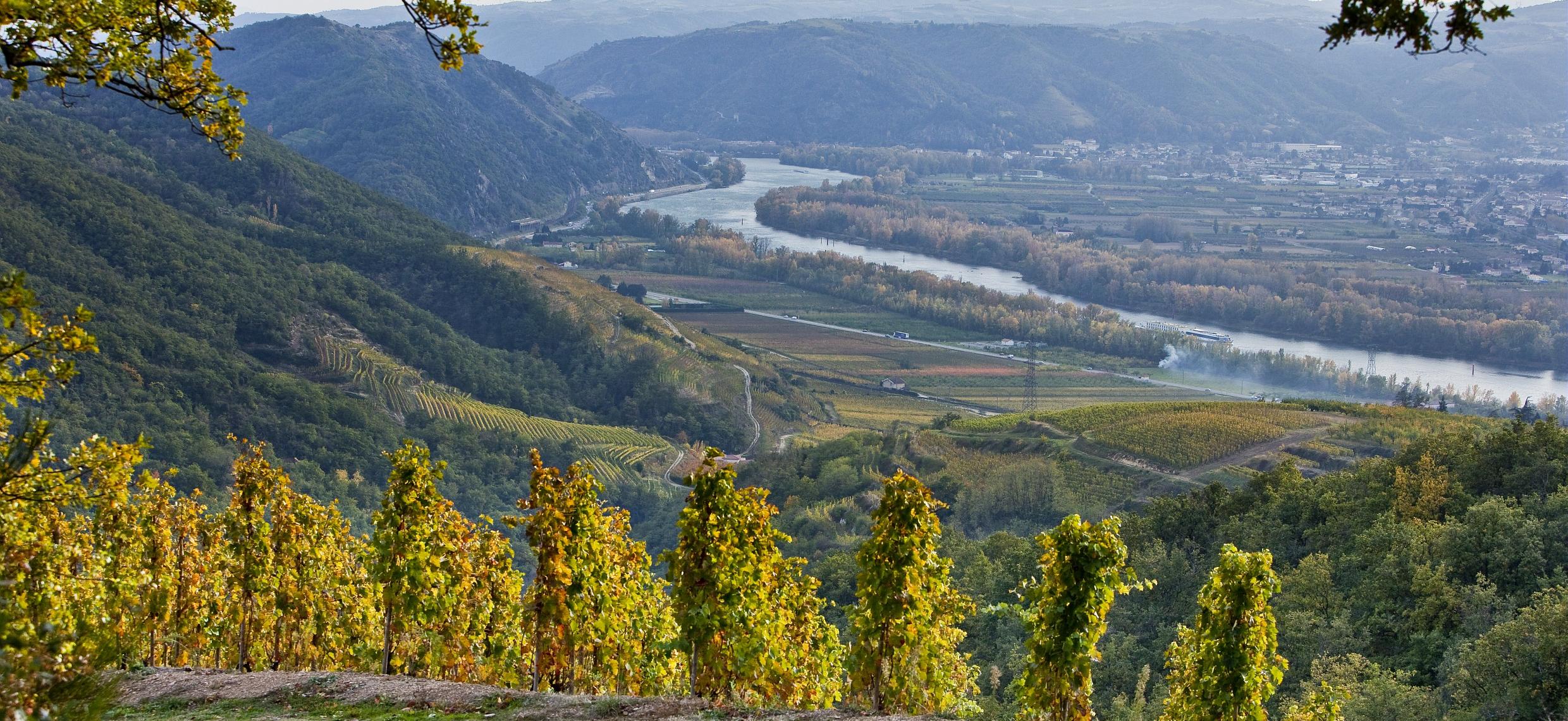 La protection du terme « Rhône » consacrée