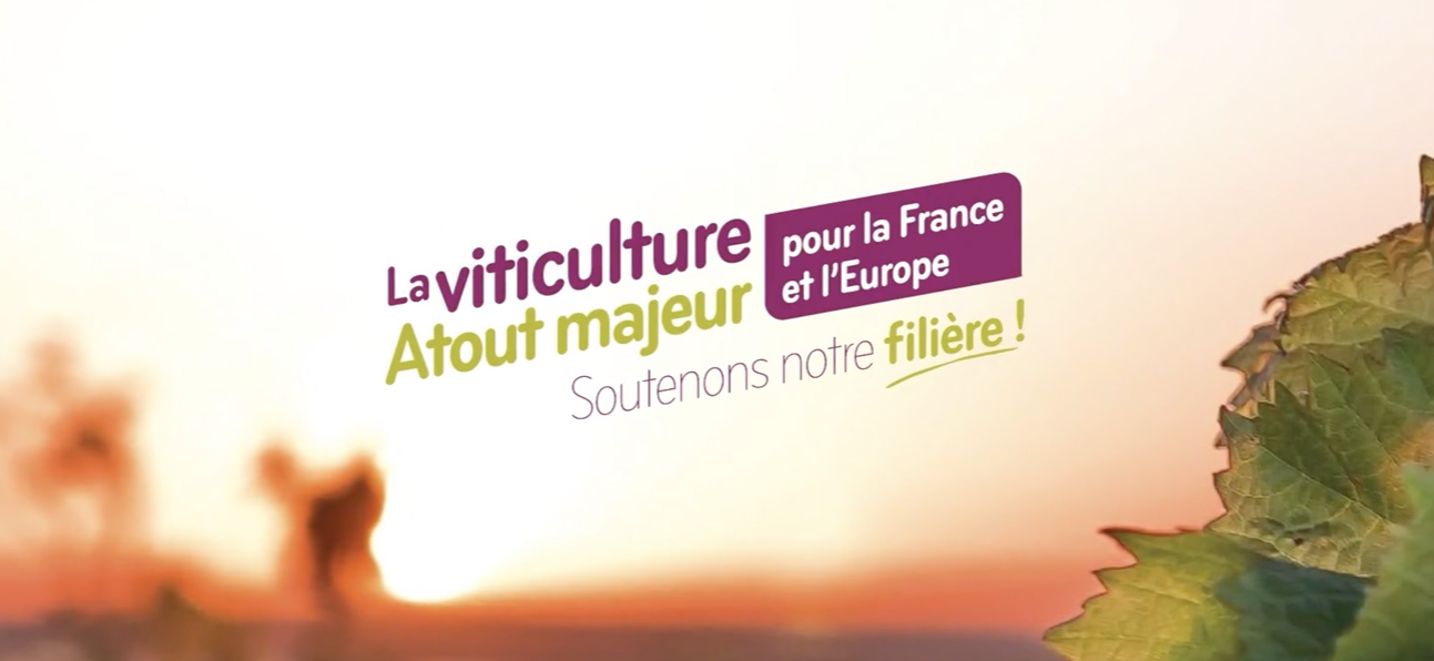 Elections européennes : CAP immédiat sur la PAC !