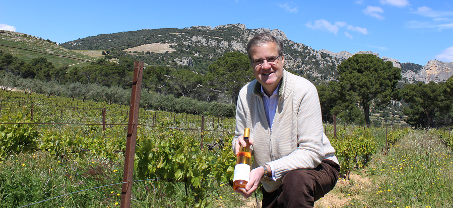 [Beaumes-de-Venise] Domaine de Coyeux, ces vins qui s’élèvent dans les Dentelles