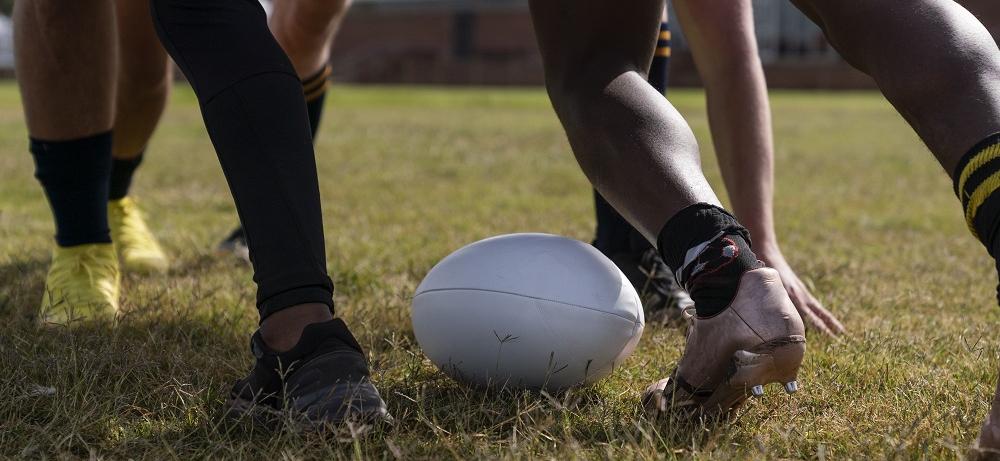 Coupe du Monde de Rugby : Des terrains à la vigne, les vignerons se prennent au jeu