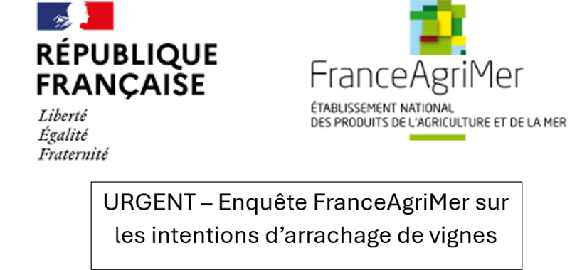 URGENT - Enquête sur les intentions d'arrachage de vignes - FranceAgriMer