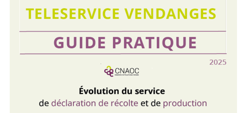 Guide pratique téléservice VENDANGES