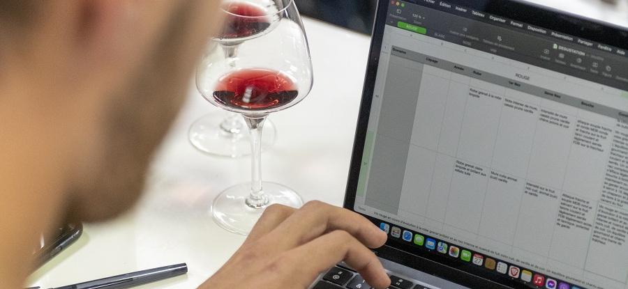 Devenir vigneron : un défi formidable, des outils indispensables