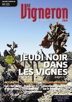 Vigneron n°913